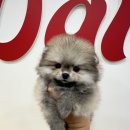 달링하이 포항점 이미지