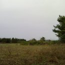오늘닭발