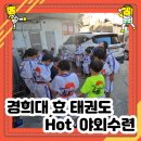 화창태권도장 이미지