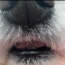 댕화살롱 이미지