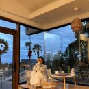 빌레우티 이미지