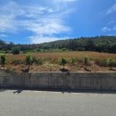 안드레아의 집 이미지