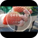 광혜원농장 이미지