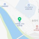 수목화를 그리는 송정마을 이미지