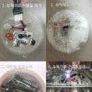 멍멍살롱 이미지