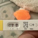 원포쓰리 | 임신 초기 임신 테스트기 역전 후기 아기집 확인 (원포얼리테스트기/원포테스트기/쓰리라인테스크기)