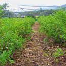 종은농장 이미지