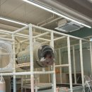 맘스꼬마김밥 | 실내키즈카페 대관 초딩 생일파티 꿀팁 / 개신동 “떡마마” 답례품 과일모찌도시락 내돈내산 후기