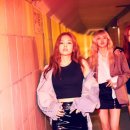 블랙핑크 카카오 검색결과