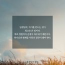 일생일작 네이버블로그
