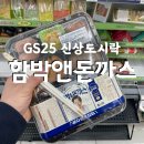 [GS25] 편의점 갓성비 추천 메뉴 ‘혜자로운 집밥 도시락’ 함박앤돈까스 편의점도시락 후기 및 추천