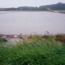 지영축산 이미지