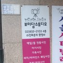 보미담스튜디오