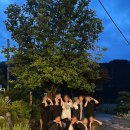 화담스테이 이미지