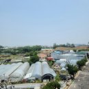 에코 더 힐 이미지