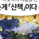 섬말공원 이미지