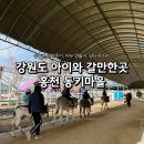 홍천즐거운집 | 강원도 홍천 여행 동키마을 체험 총 정리ㅣ당나귀타기, 비누만들기, 먹이주기 체험 찐 후기