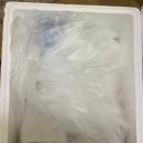 떡사랑기정떡 | [창억떡 호박인절미 · 기정떡]창억떡 실물리뷰! 내돈내산 솔직후기 (맛·가격·보관법 한눈에)