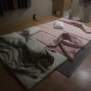 녹천한우 이미지