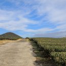 동이목장 이미지