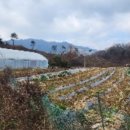 포전리 마을회관 이미지