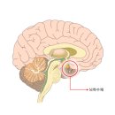 브니엘요양병원 이미지