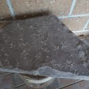 진주 가진리 새발자국과 공룡발자국 화석산지 이미지