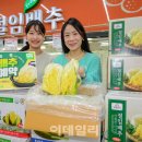 조공화원 이미지