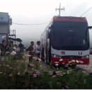 그린하나버스투어 이미지