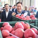 청과물처리장 이미지