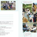 보드게임 및 전래놀이 이미지