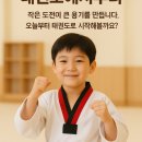 야무진태권도 이미지