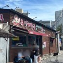 제주 보고정 투어 | 여름 제주 3박4일 혼자 다녀온 후기 (학회라쓰고 혼자놀기+맛집투어라 읽는다)