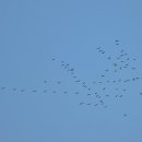 한밭수목원 동원 이미지