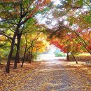 양재시민의 숲 4번출구 이미지