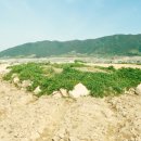 철갑옷의 비밀 이미지