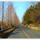 시례새터길 이미지