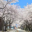 동물원 가는 길 이미지