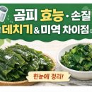 곰피효능,손질,데치기, 미역과의 차이점까지 한눈 정리 이미지