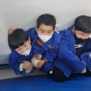 (Dream of JUDO)영동유도관 이미지