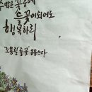 들꽃 이미지