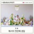 분홍다이닝 | 소규모 돌잔치 셀프로 준비하기! 꽃분홍파티 : 힐론 다이닝 후기