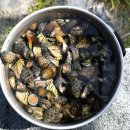 고대도1 이미지