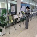 보성공공도서관 이미지