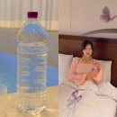 pet02더1793 | 몽베스트 위드어스 무라벨 생수 하루 2L 수분섭취 물마시기 습관 시작