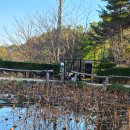 웅석봉로 | 산청 가볼만한곳 수선사 후기 겨울에 다시 오고 싶은 곳