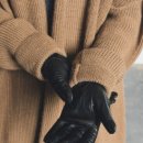 예산장갑 이미지