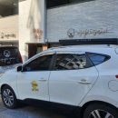 보리펫택시 이미지