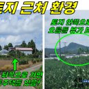 관통 교차로 2 Daum카페