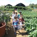 윤호농장 이미지